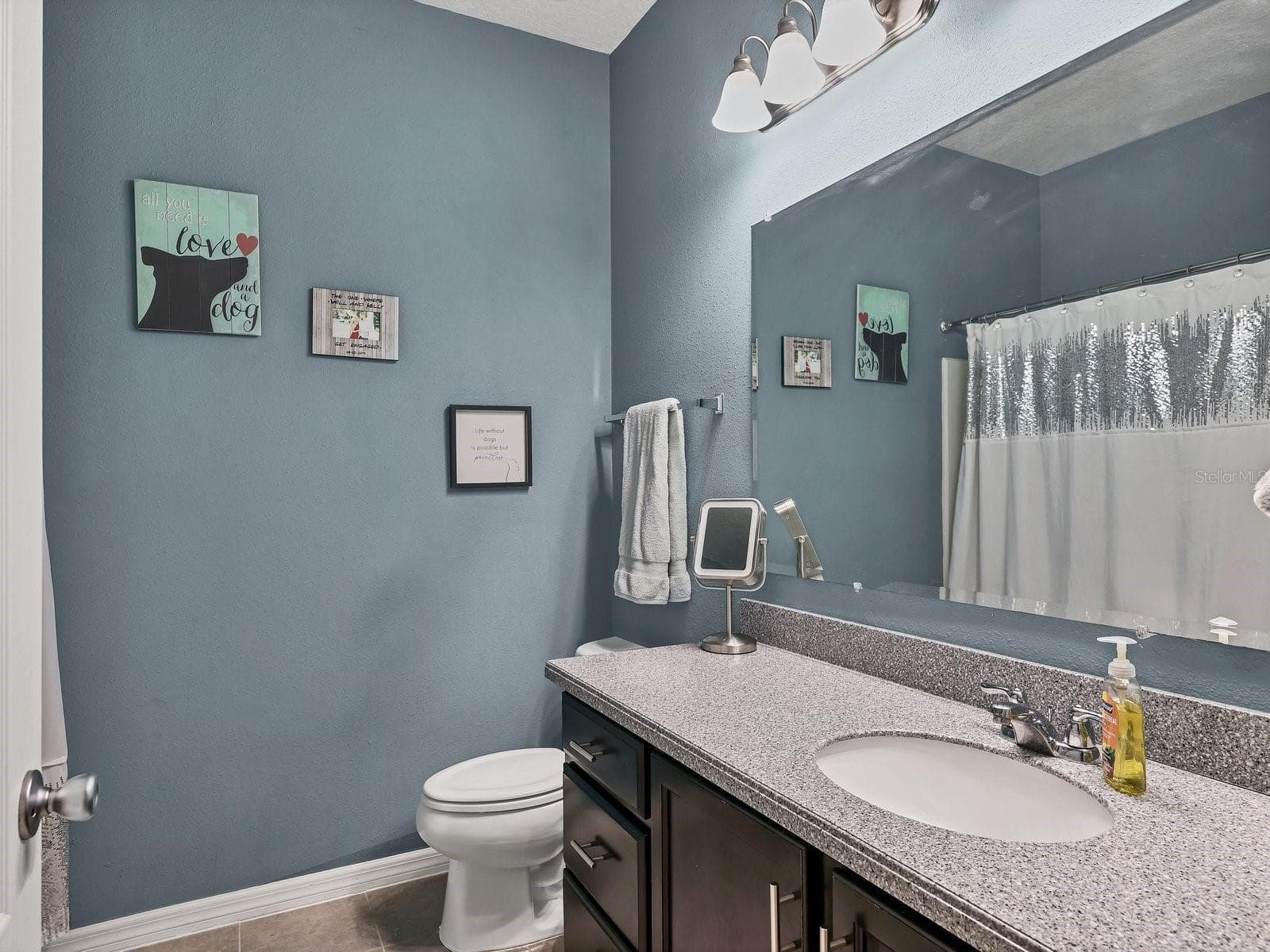 Guest Bath - 6307 4TH ST E, BRADENTON