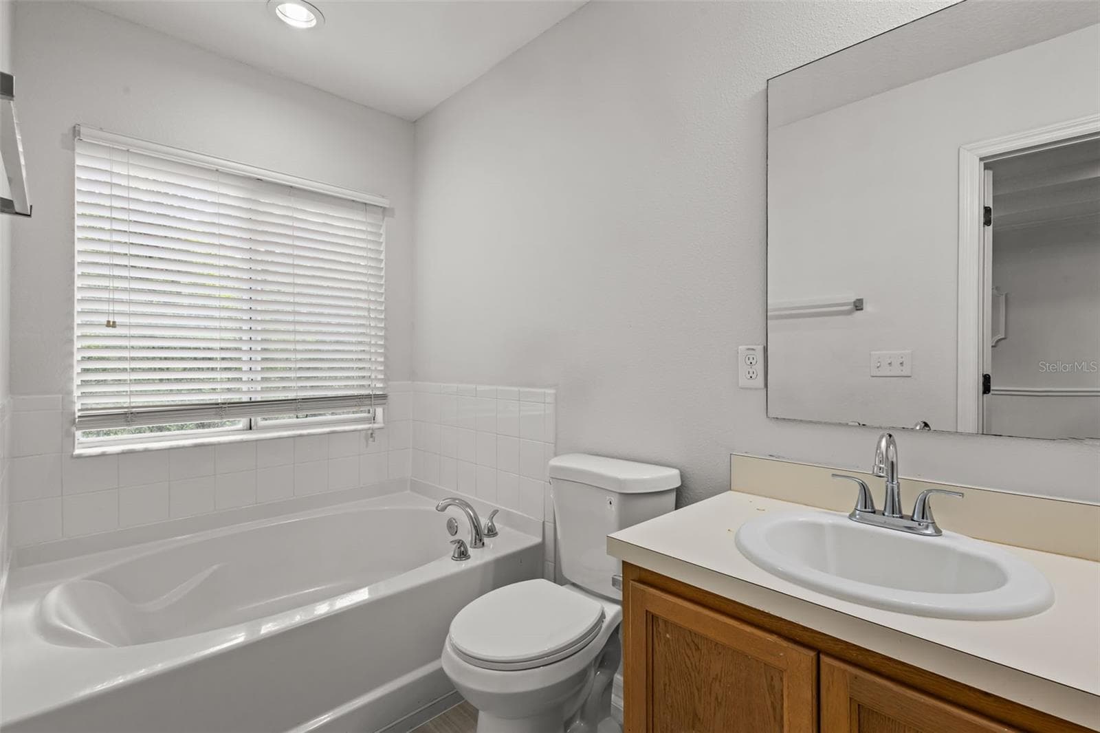 Garden tub master bathroom - 2972 ROYAL TUSCAN LN, VALRICO
