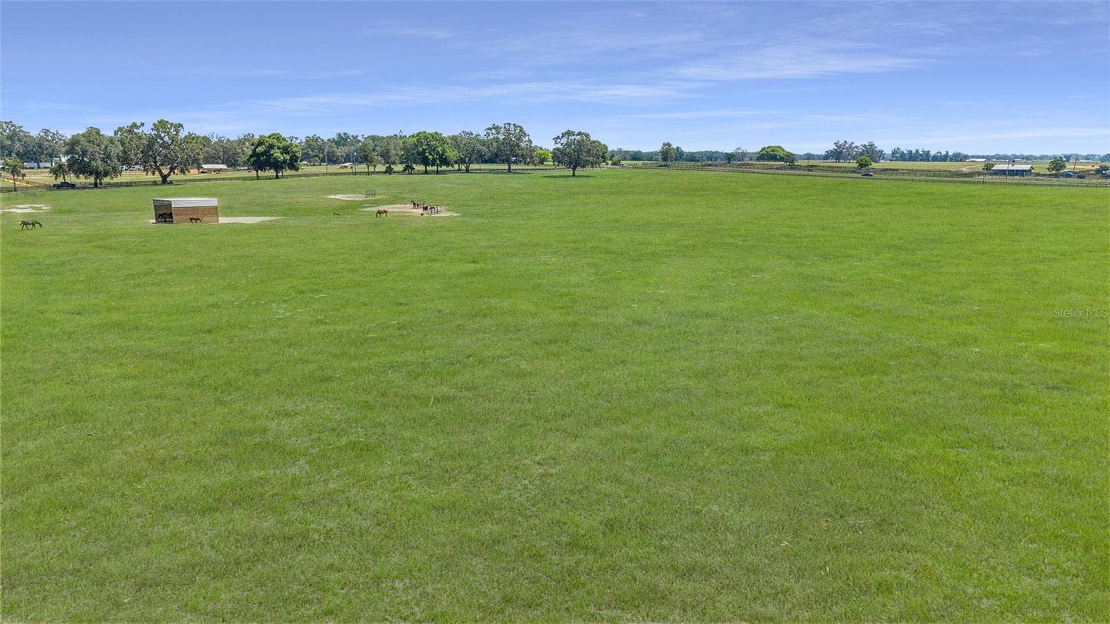 Farm at 1177 NW 102ND BLVD, WILDWOOD, photo 2 of 25