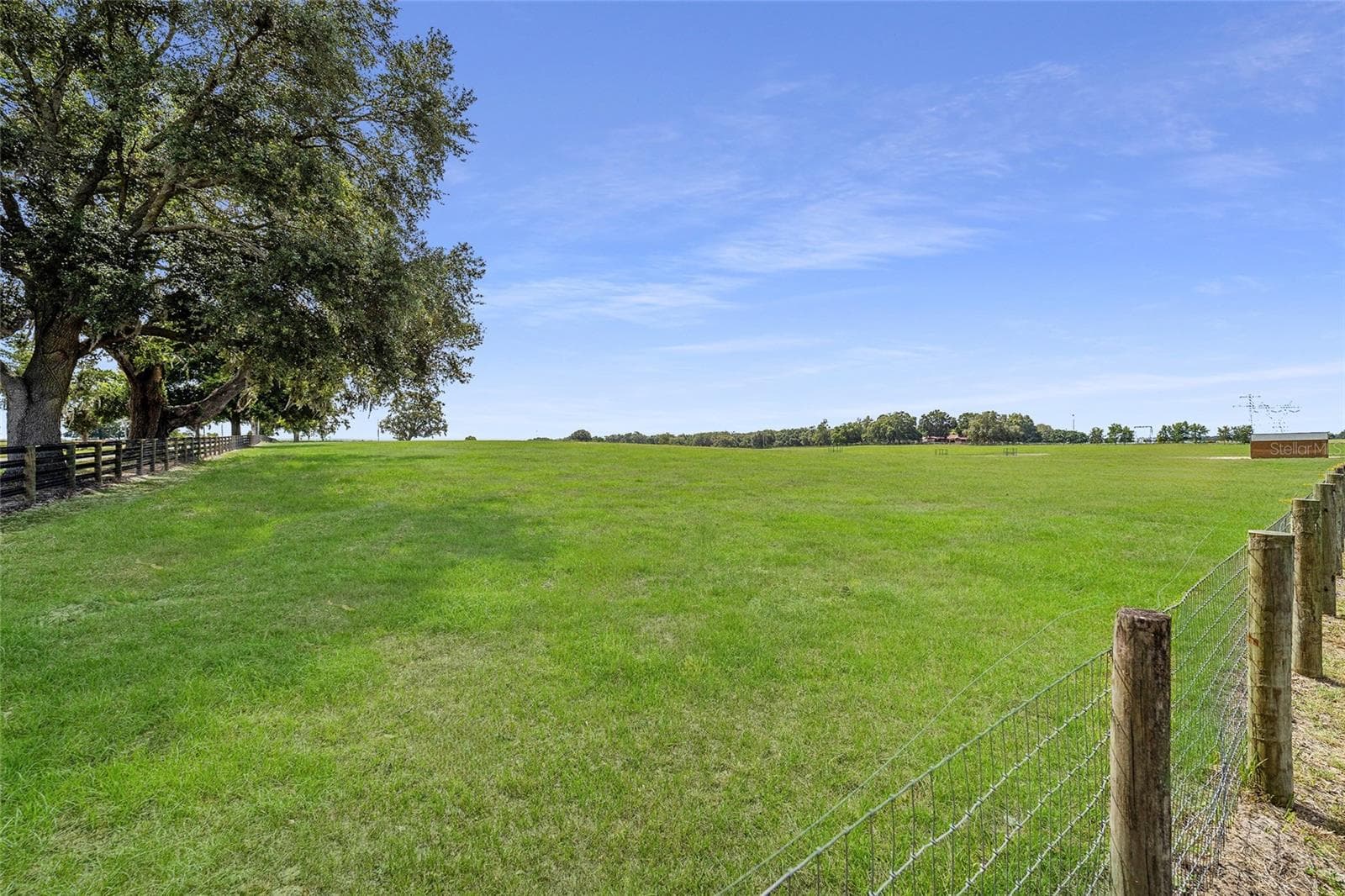 Farm at 1177 NW 102ND BLVD, WILDWOOD, photo 16 of 25