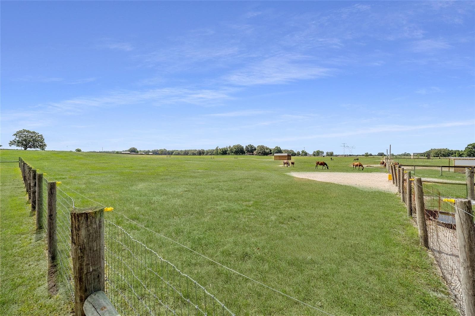 Farm at 1177 NW 102ND BLVD, WILDWOOD, photo 20 of 25
