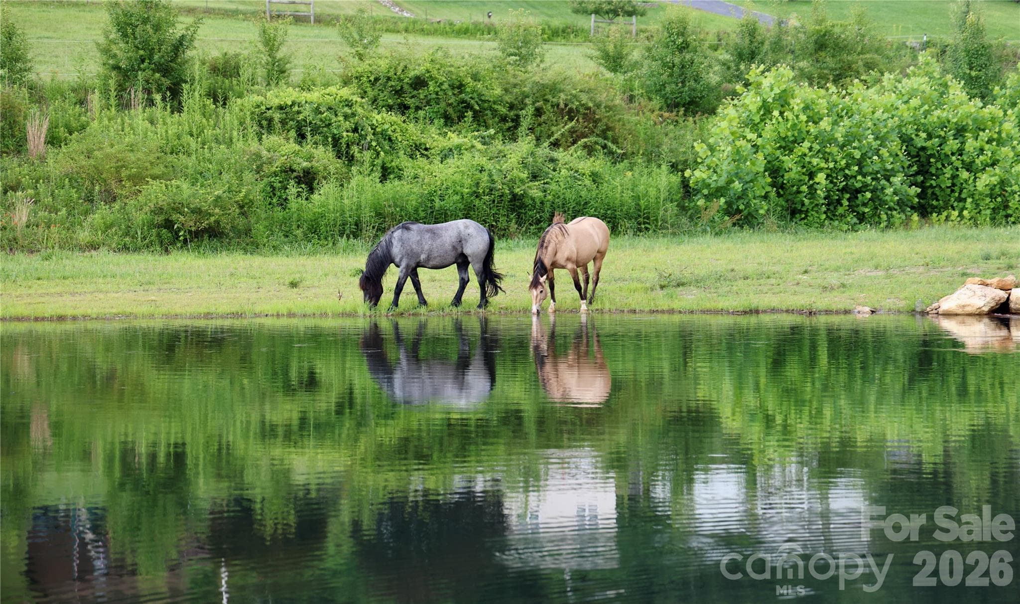 Pasture and Watering for Horses - 793 State Highway 197 South, Burnsville