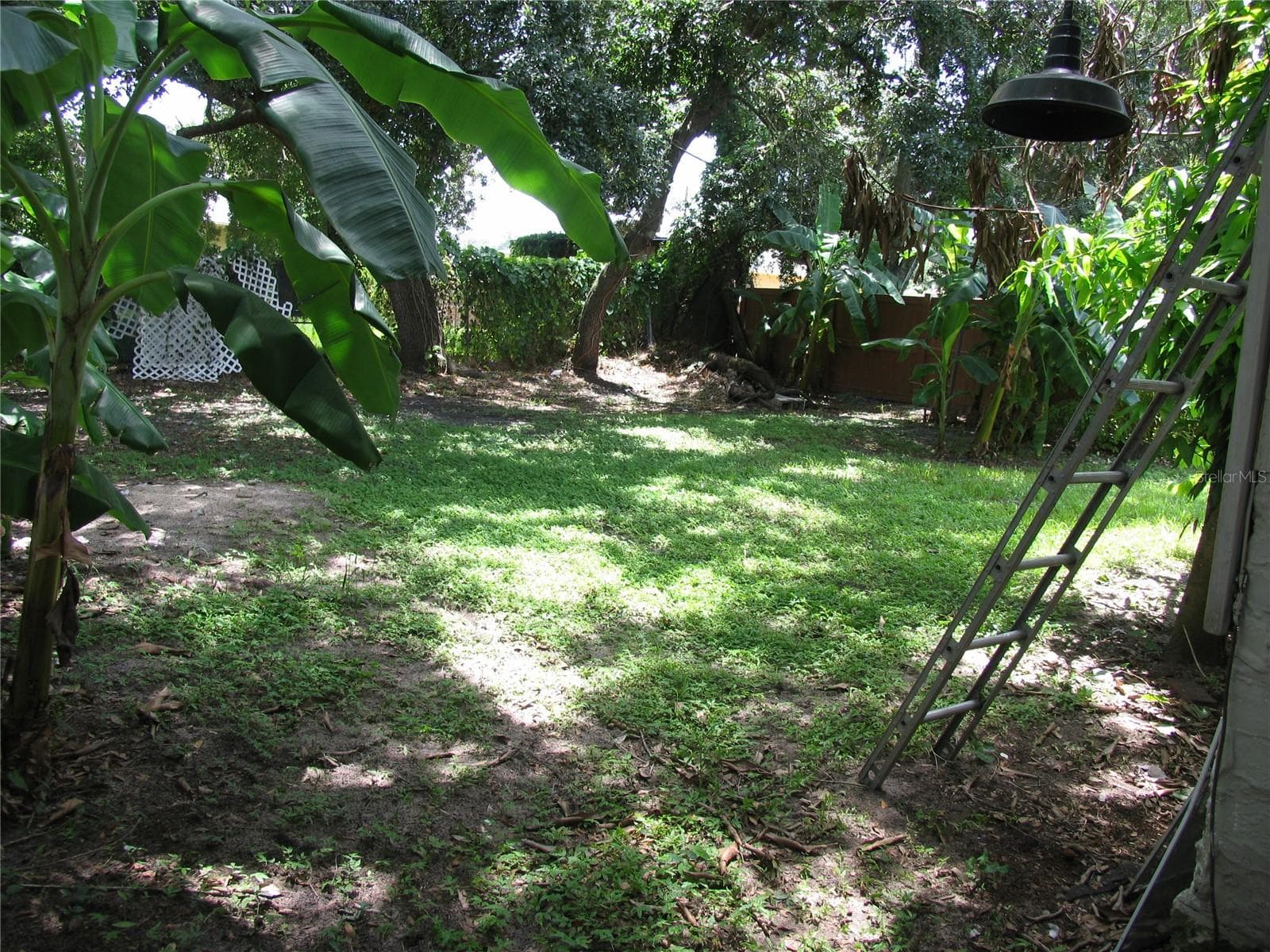 View of backyard - 323 DOVER ST, ORLANDO