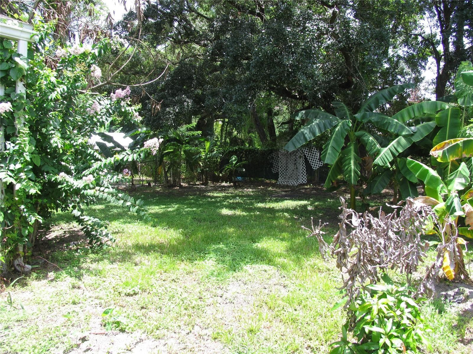 2nd view of backyard - 323 DOVER ST, ORLANDO