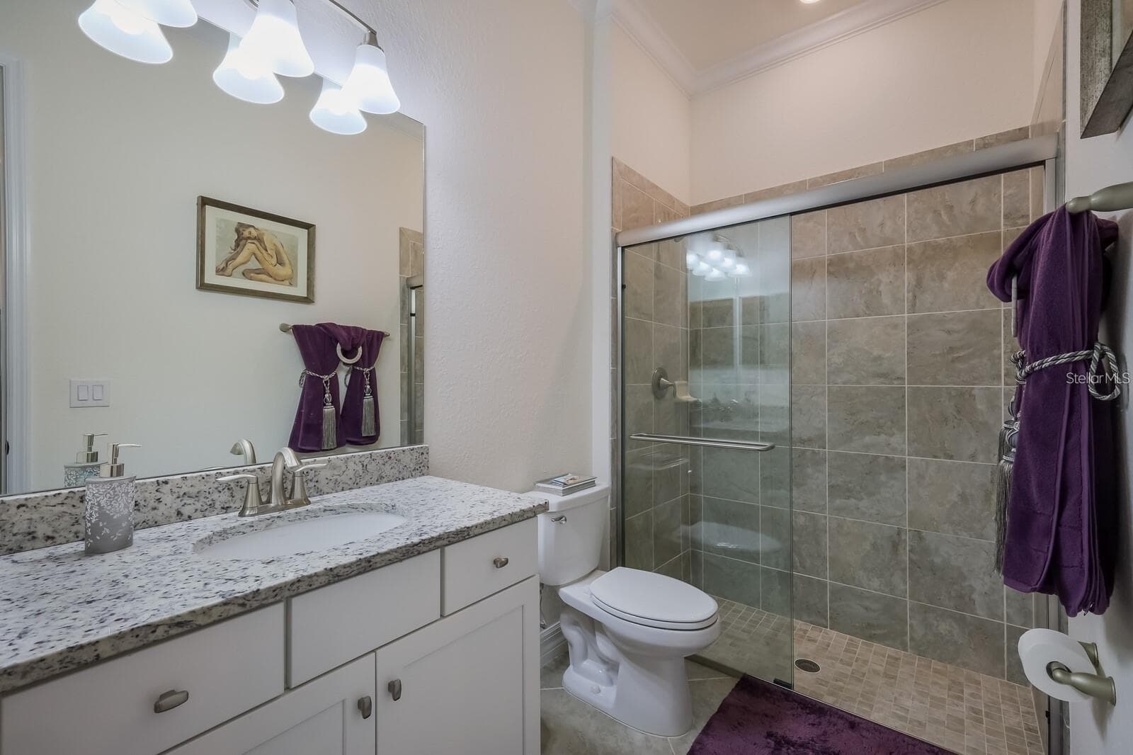 IN LAW SUITE BATH 4 - 12120 GANNETT PL, LAKEWOOD RANCH