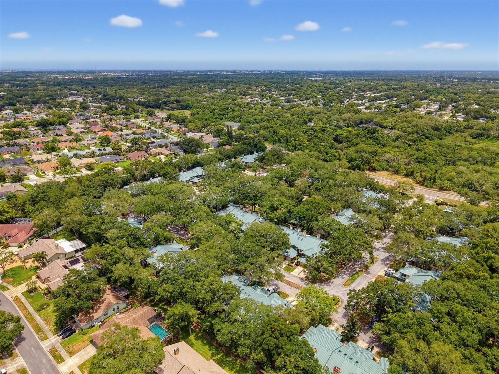 Condominium at 1491 MAHOGANY LN #1491, PALM HARBOR, photo 53 of 58