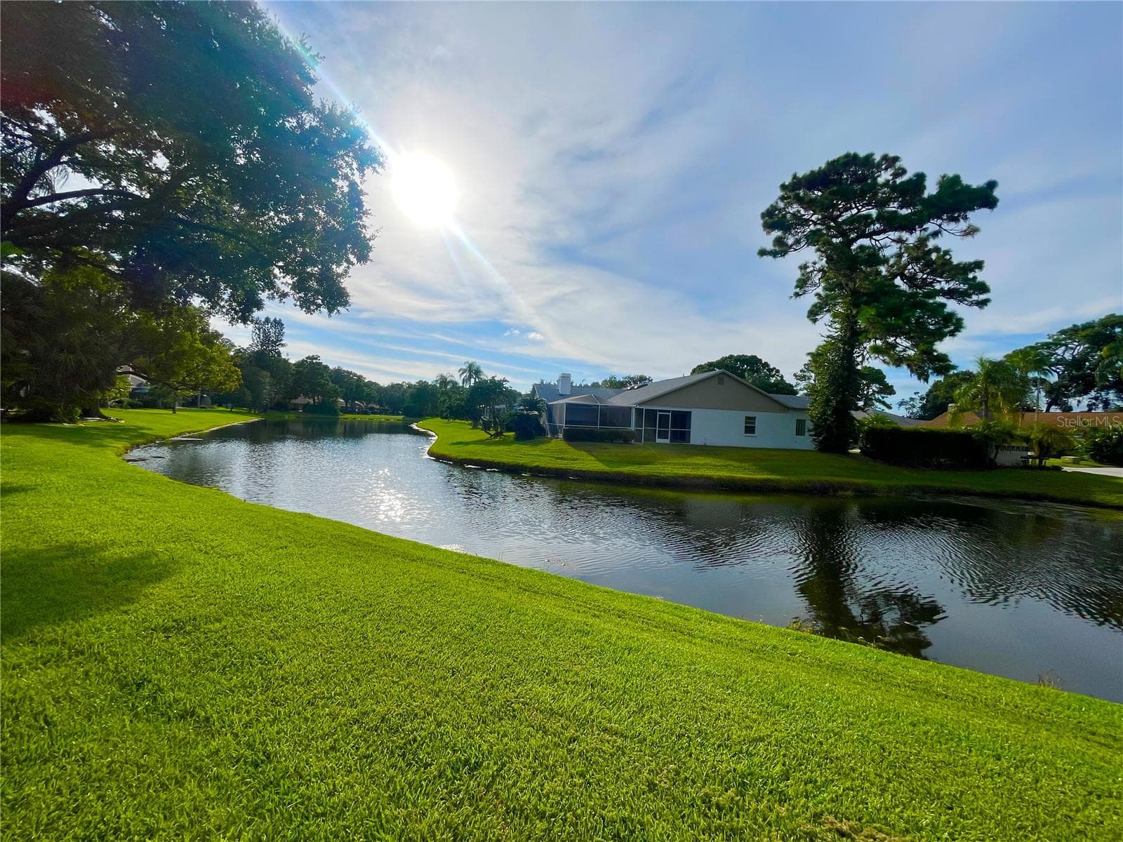 View - 5565 SALEM SQUARE DR N, PALM HARBOR