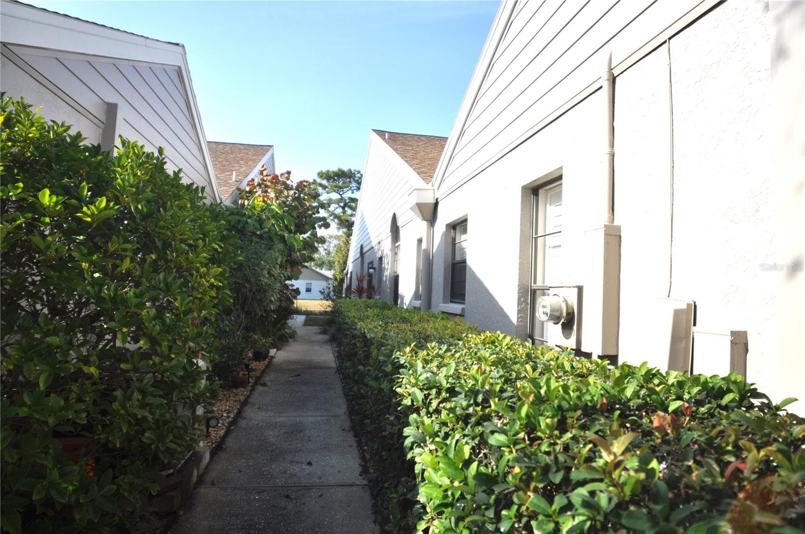 Walk way to entry door - 5565 SALEM SQUARE DR N, PALM HARBOR