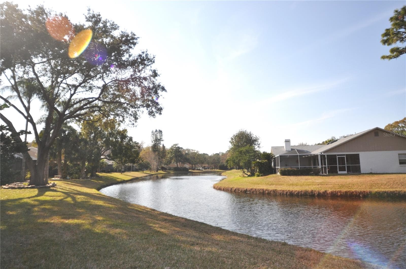View - 5565 SALEM SQUARE DR N, PALM HARBOR