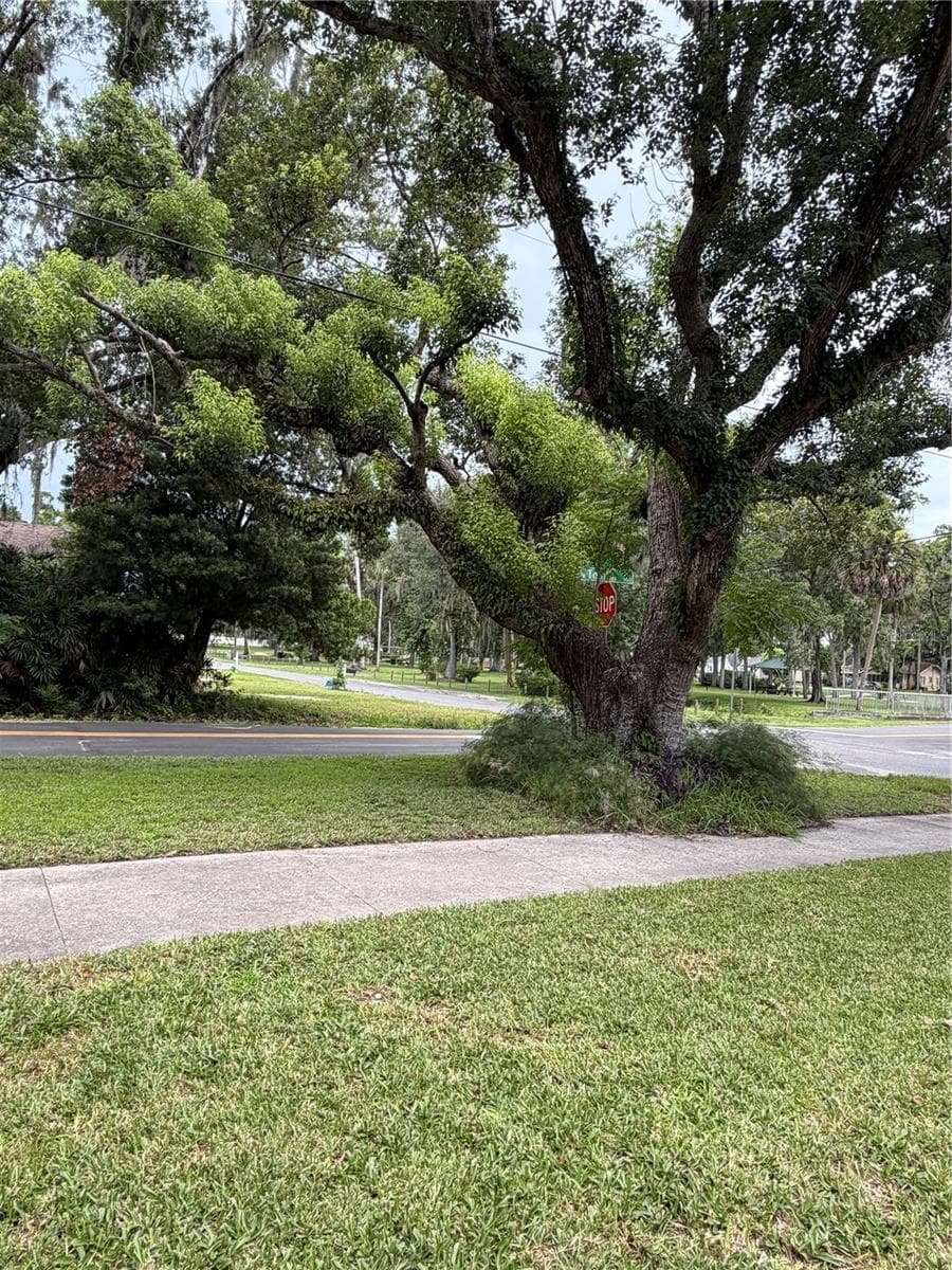 Single Family Residence at 902 E TOMLIN ST, PLANT CITY, photo 12 of 12