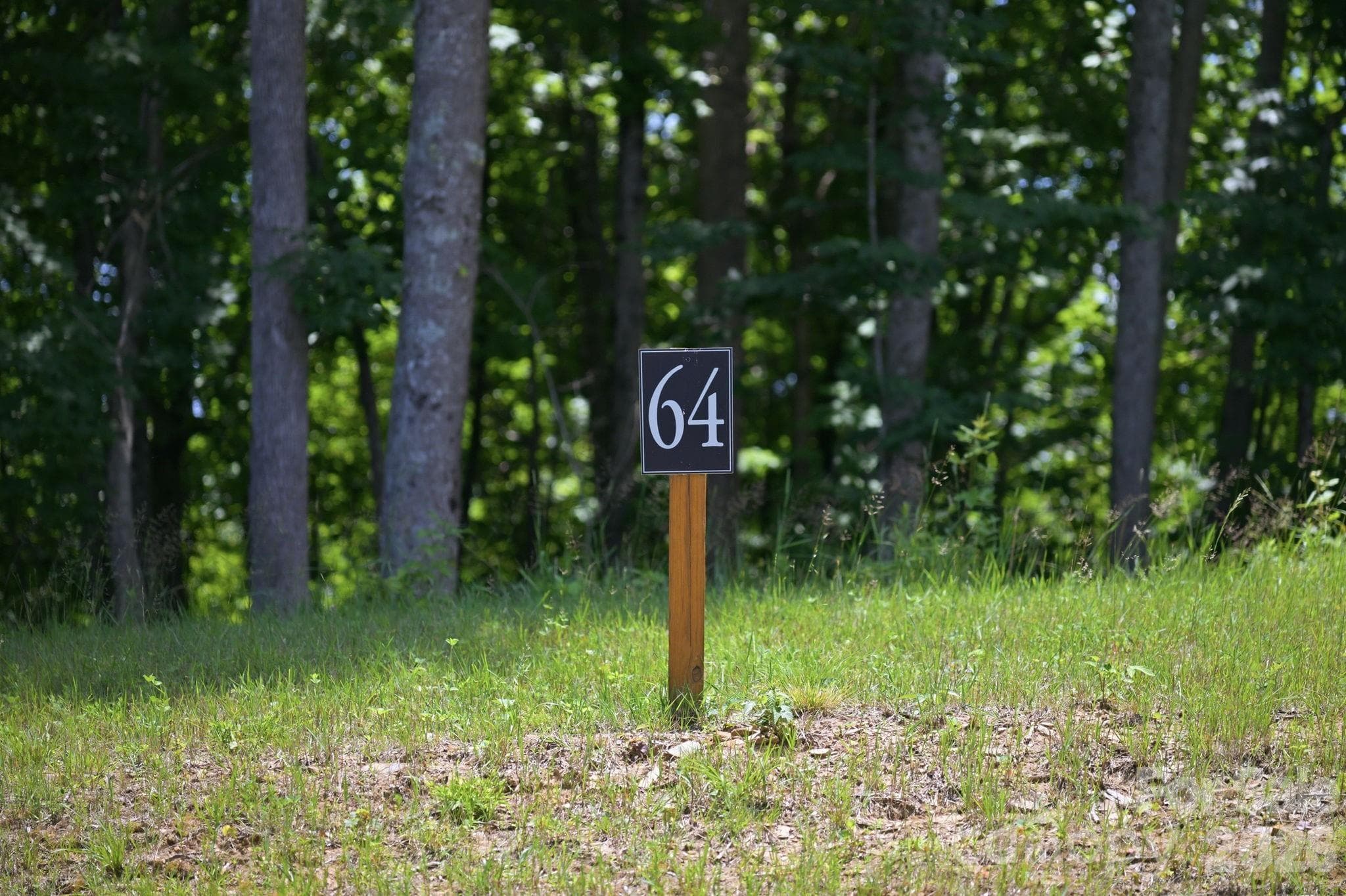 Lot is flat to gentle rolling, ideal for crawl space or basement. - Lot 64 Poplar Forest Drive, Boone