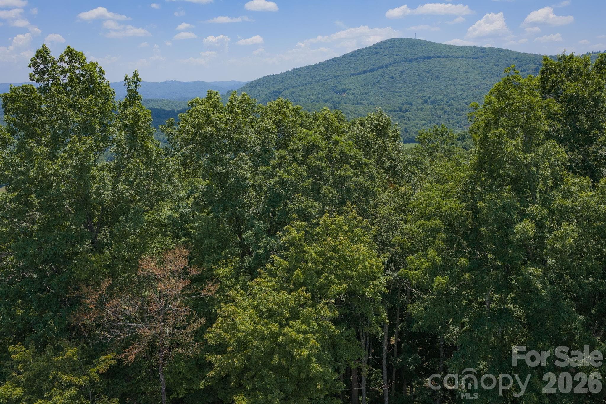 Lot 64 Poplar Forest Drive