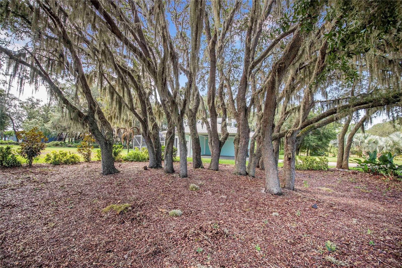 Single Family Residence at 2424 BURNS AVE, LAKE WALES, photo 96 of 100