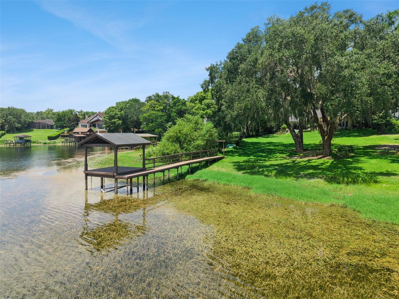 Plenty of natural shoreline on Lake Olivia - 1629 HEMPEL AVE, WINDERMERE