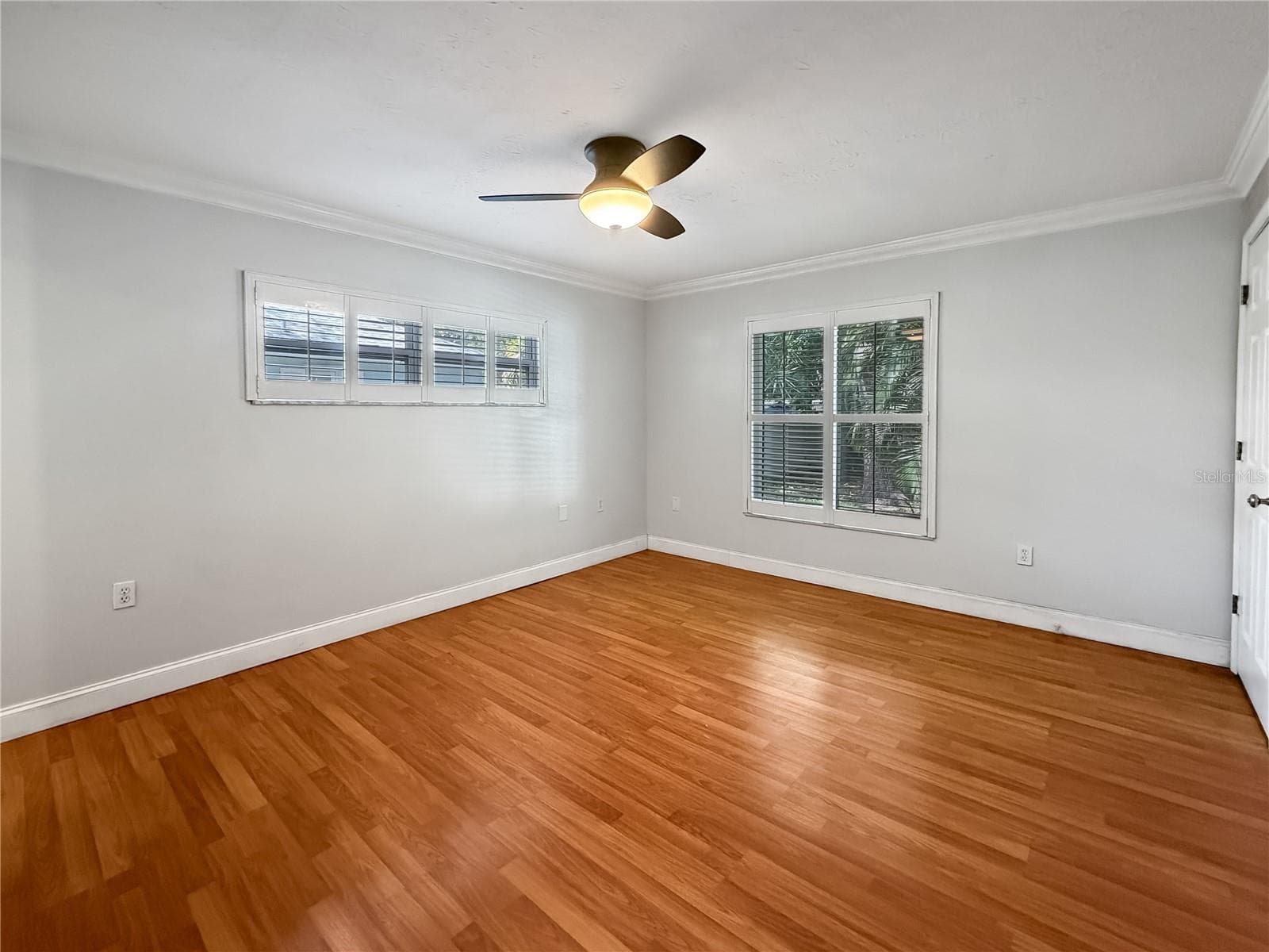 Primary Bedroom - 1011 WINDING OAKS DR, PALM HARBOR