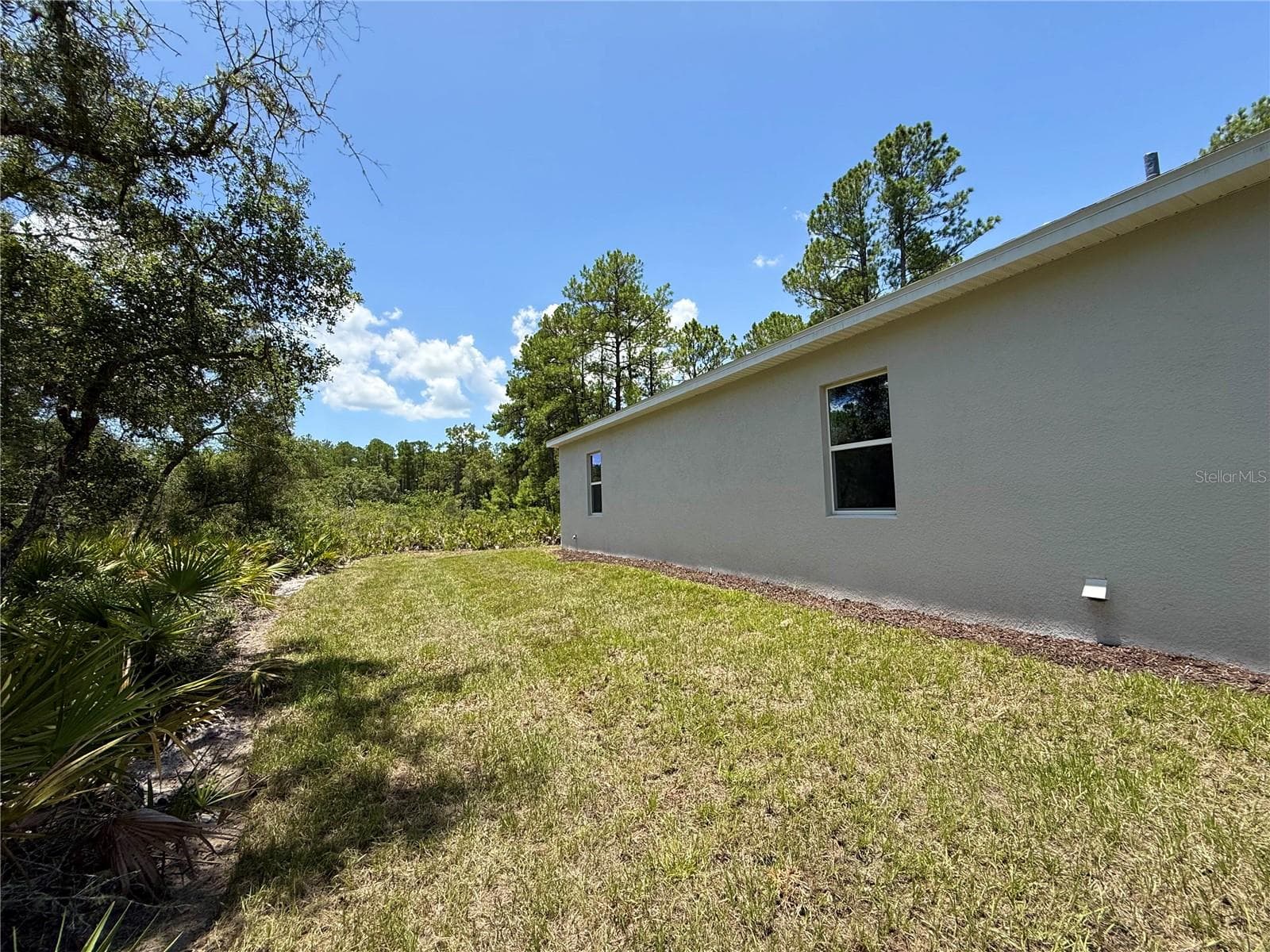 Left side of home - 30280 W BLUEBELL AVE, EUSTIS
