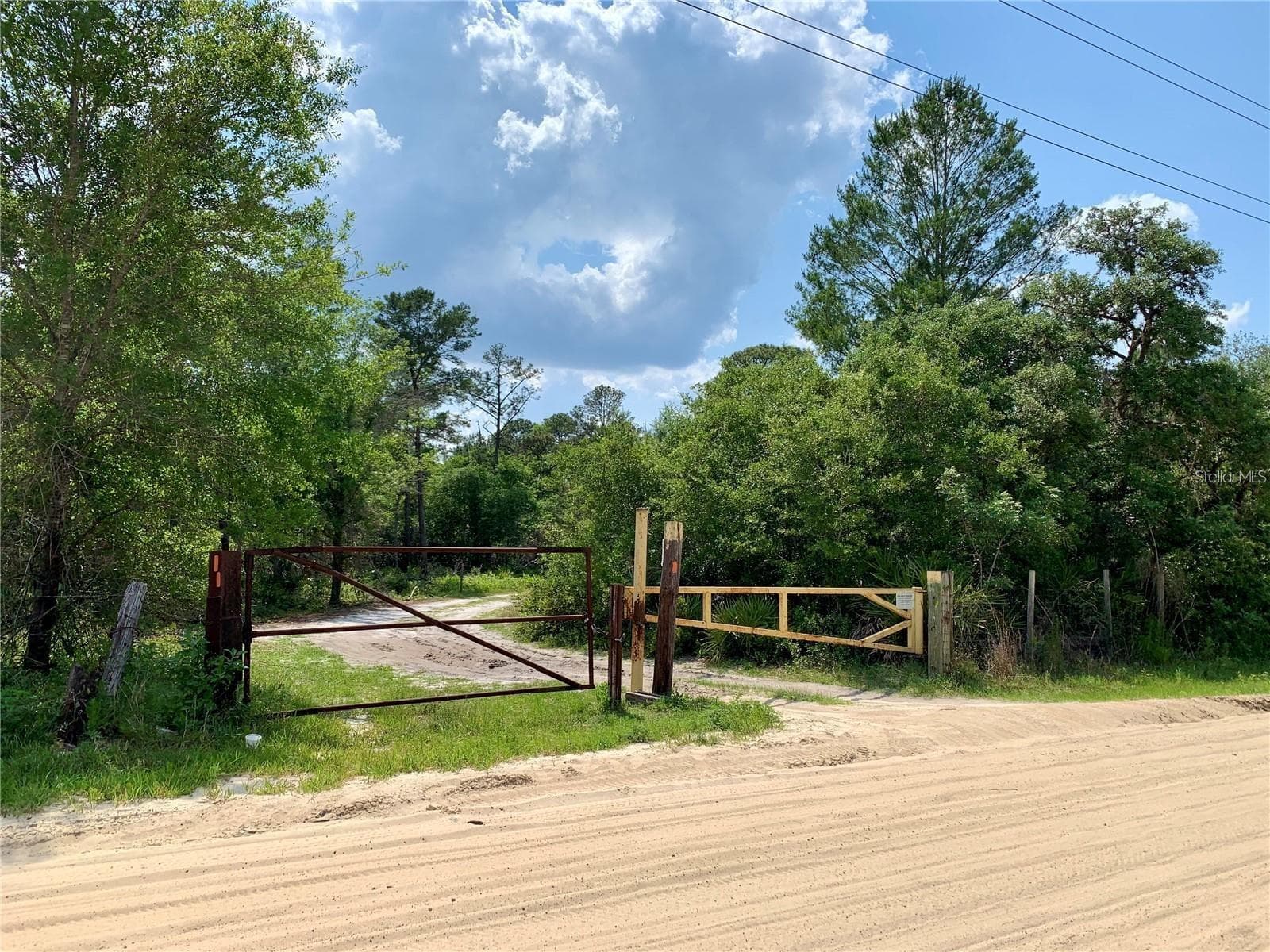 Access to Lake Norris on Maggie Jones Road - 30280 W BLUEBELL AVE, EUSTIS
