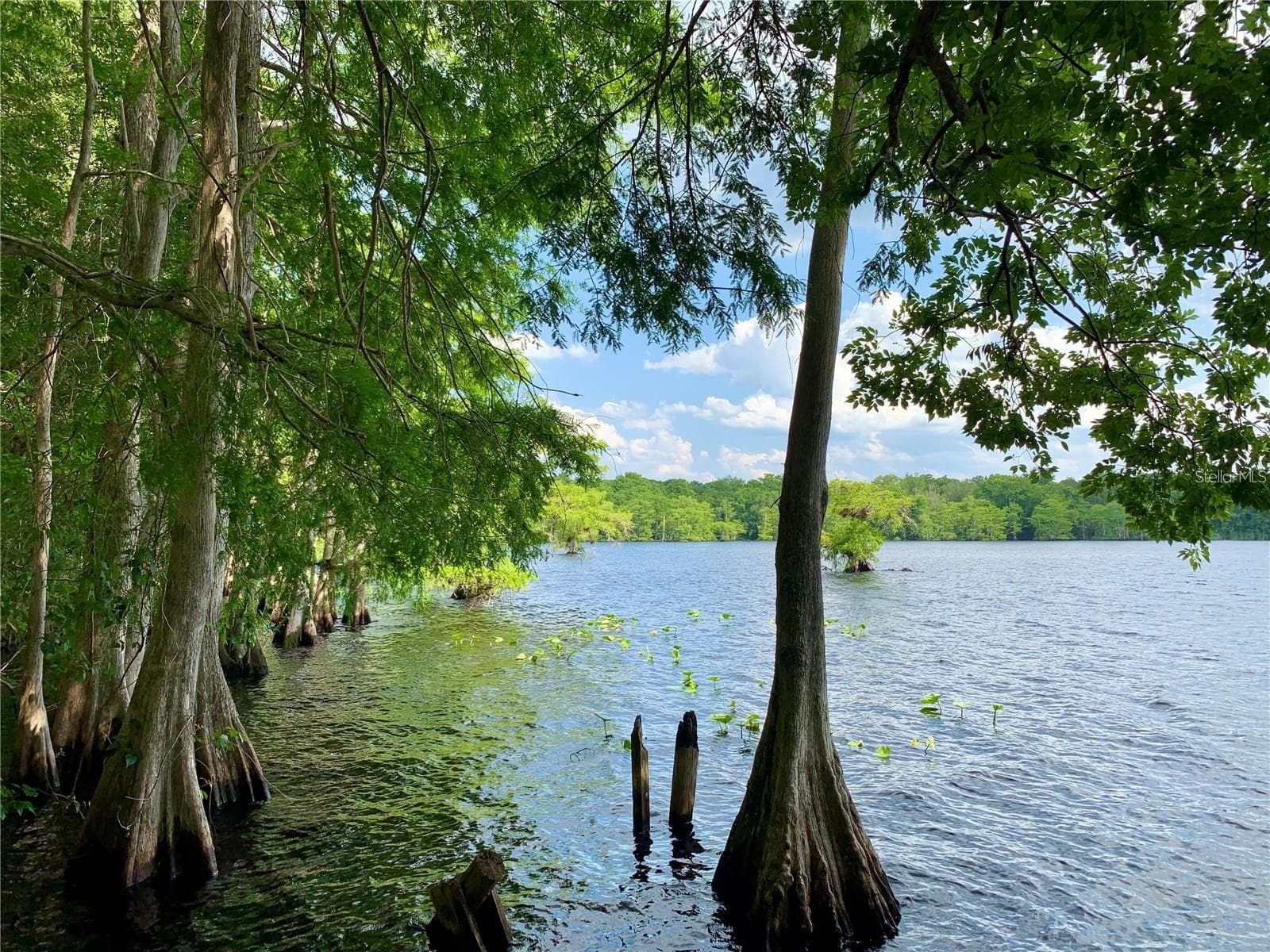 Lake Norris - 30280 W BLUEBELL AVE, EUSTIS