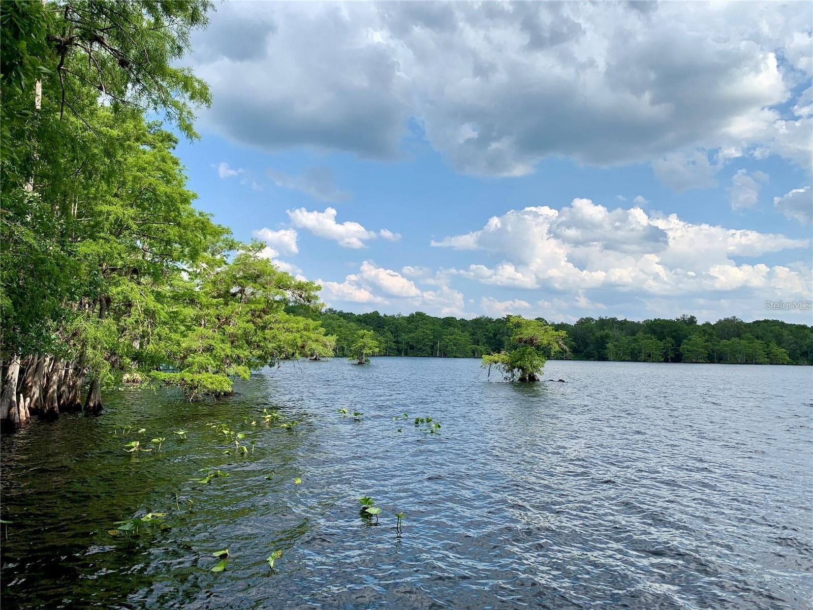 Lake Norris - 30280 W BLUEBELL AVE, EUSTIS