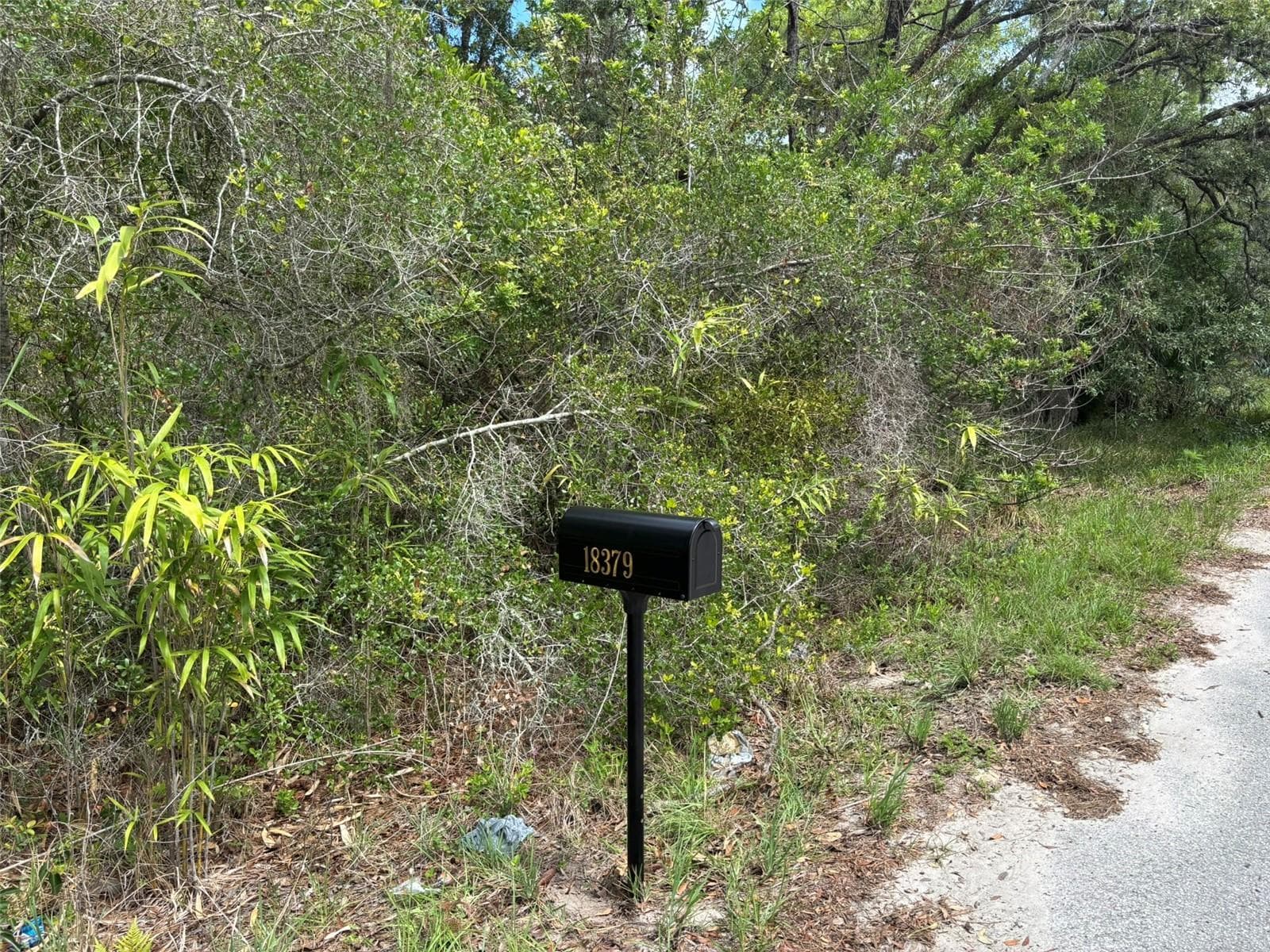 Land at 18379 THOMAS BLVD, HUDSON, photo 2 of 6