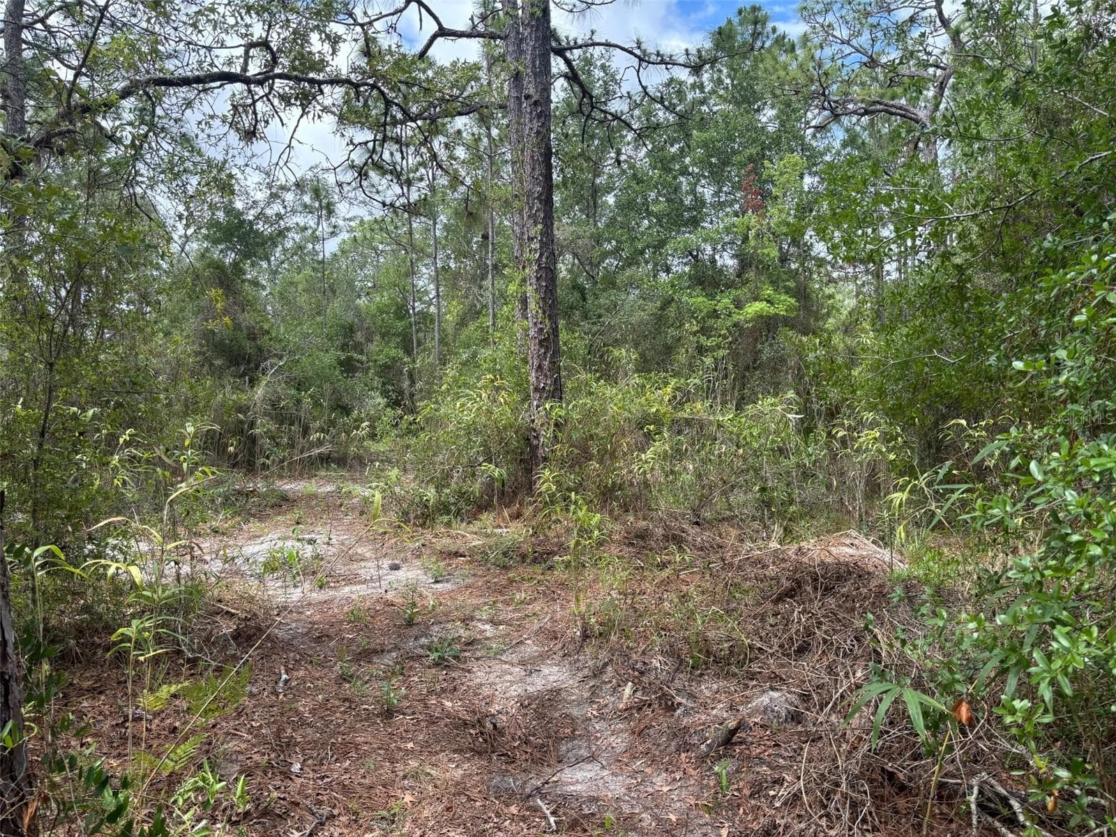 Land at 18379 THOMAS BLVD, HUDSON, photo 3 of 6