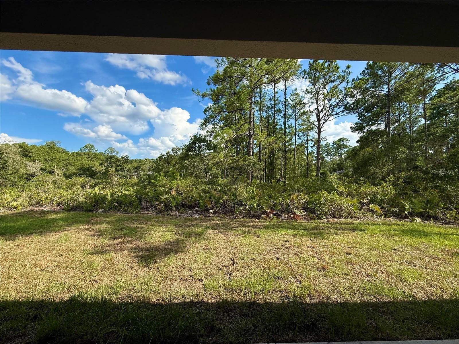 Back porch view - 30280 W BLUEBELL AVE, EUSTIS