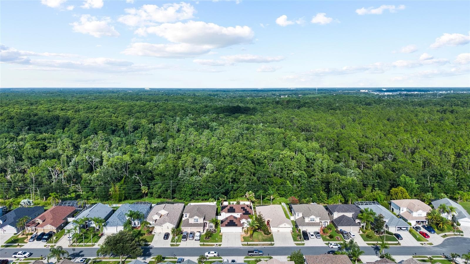 Single Family Residence at 3602 MORGANS BLUFF CT, LAND O LAKES, photo 54 of 55