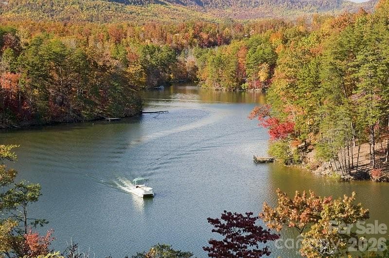 Lake Adger - 617 South Cove Road, Mill Spring