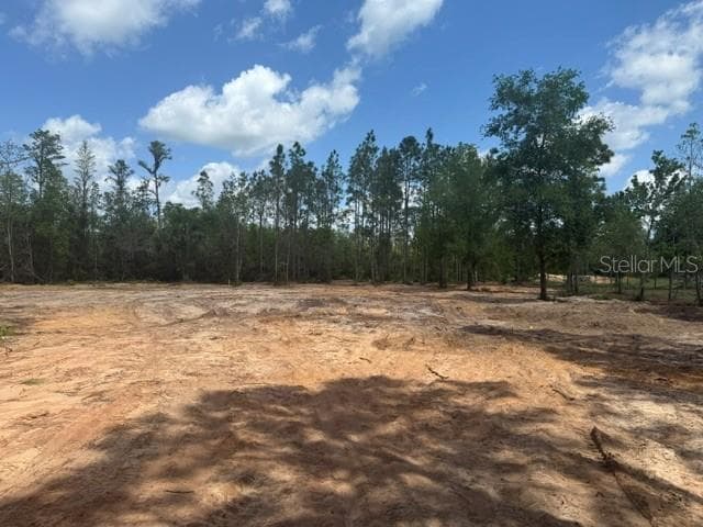 Land at 6123 OIL WELL RD, CLERMONT, photo 3 of 5