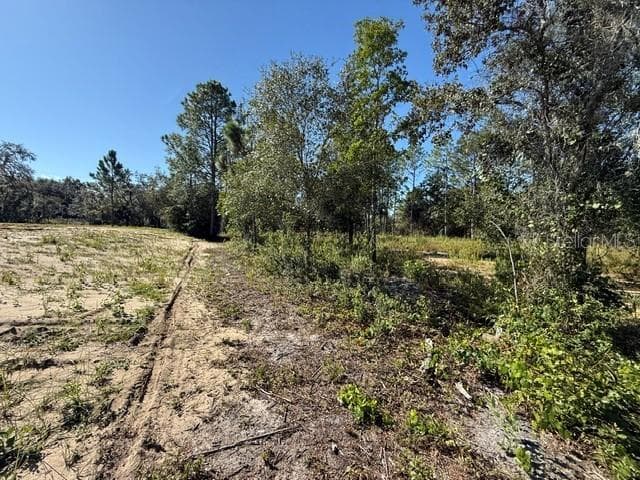 Land at 6123 OIL WELL RD, CLERMONT, photo 4 of 5