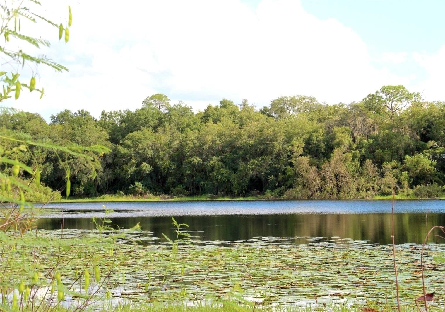 Foxwood Lake - 3179 FOXWOOD DR, APOPKA