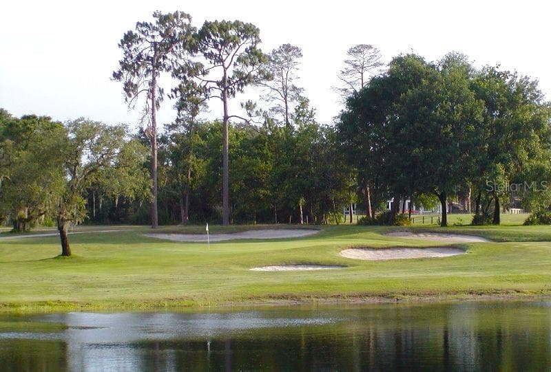 Wekiva Hunt Club Golf! - 3179 FOXWOOD DR, APOPKA