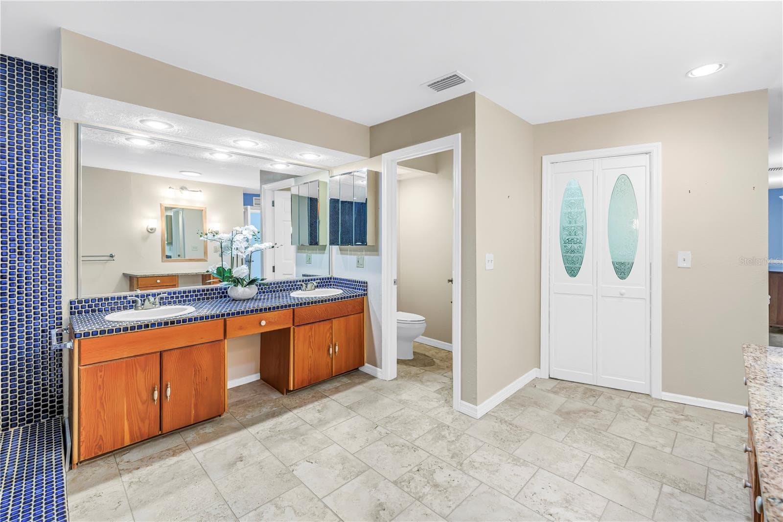 Main bath & walk-in closet - 3000 HERON PL, CLEARWATER