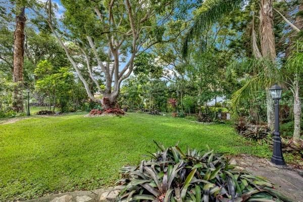 BACKYARD PARK SETTING - 133 STAFFORD CIR, PALM HARBOR