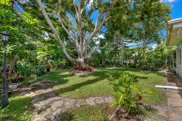 SIDE YARD WITH VIEW - 133 STAFFORD CIR, PALM HARBOR