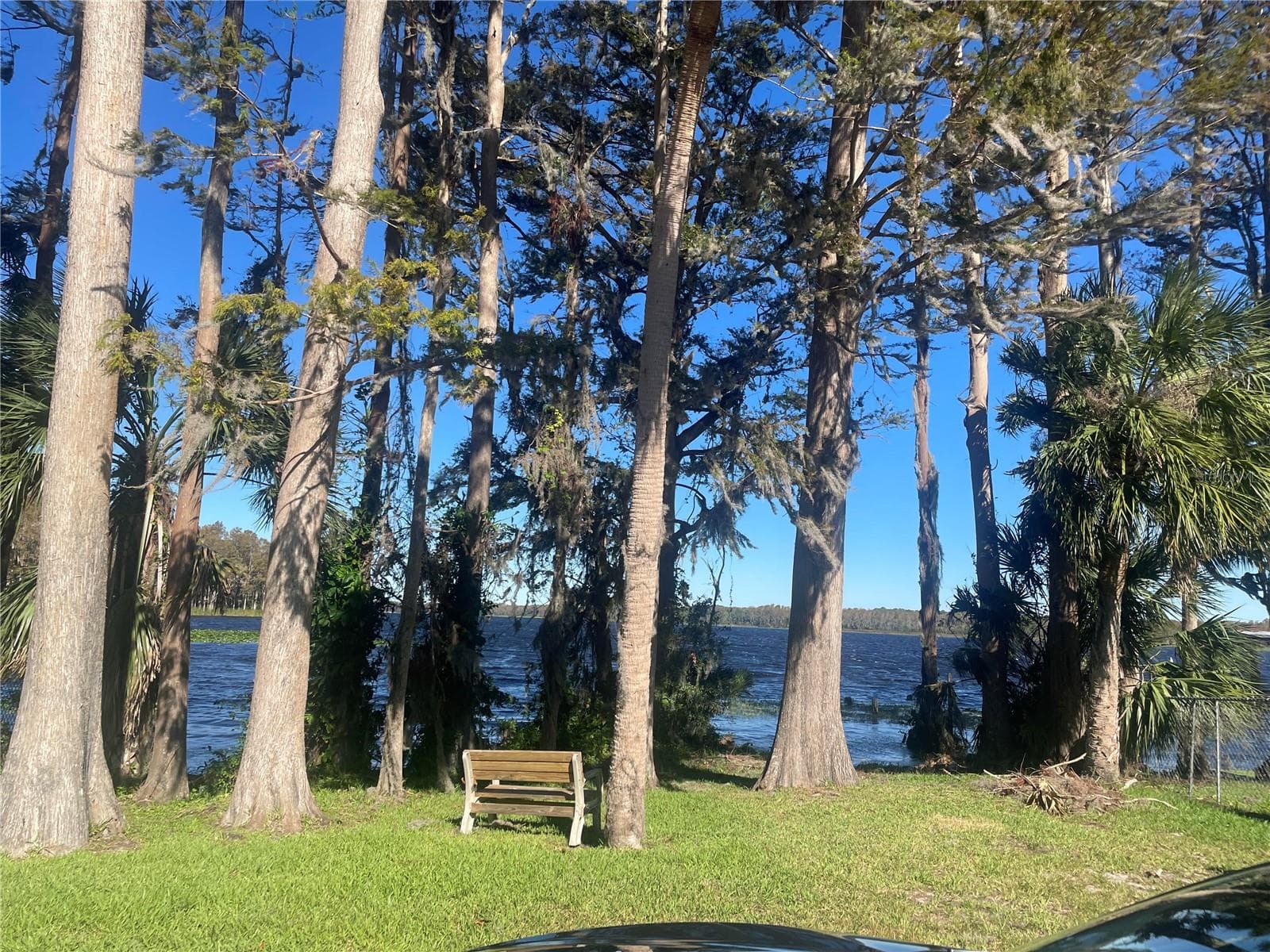 PONTOON RIDES ON LAKE TARPON - 133 STAFFORD CIR, PALM HARBOR