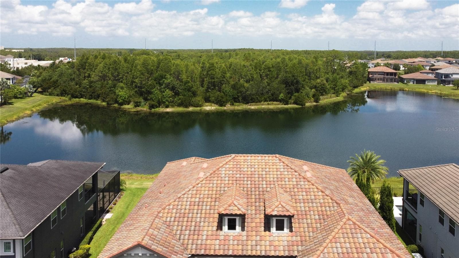 Aerial of rooftop and pond - 18014 WOODLAND VIEW DR, LUTZ