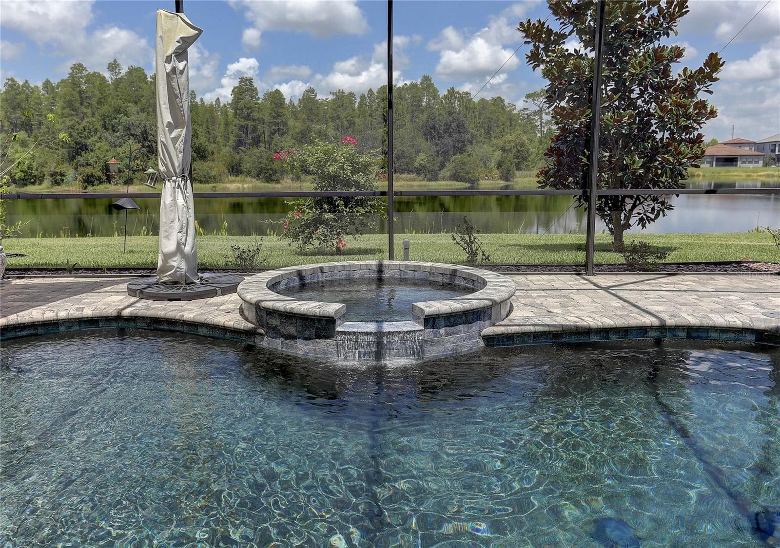 Spill over spa - 18014 WOODLAND VIEW DR, LUTZ