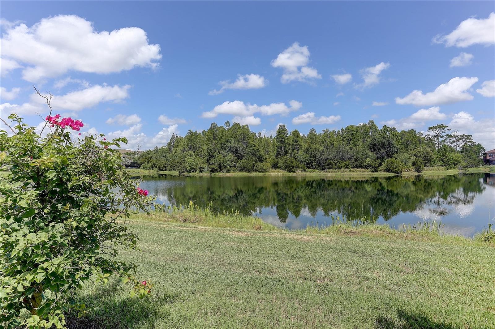 Backyard and pond - 18014 WOODLAND VIEW DR, LUTZ