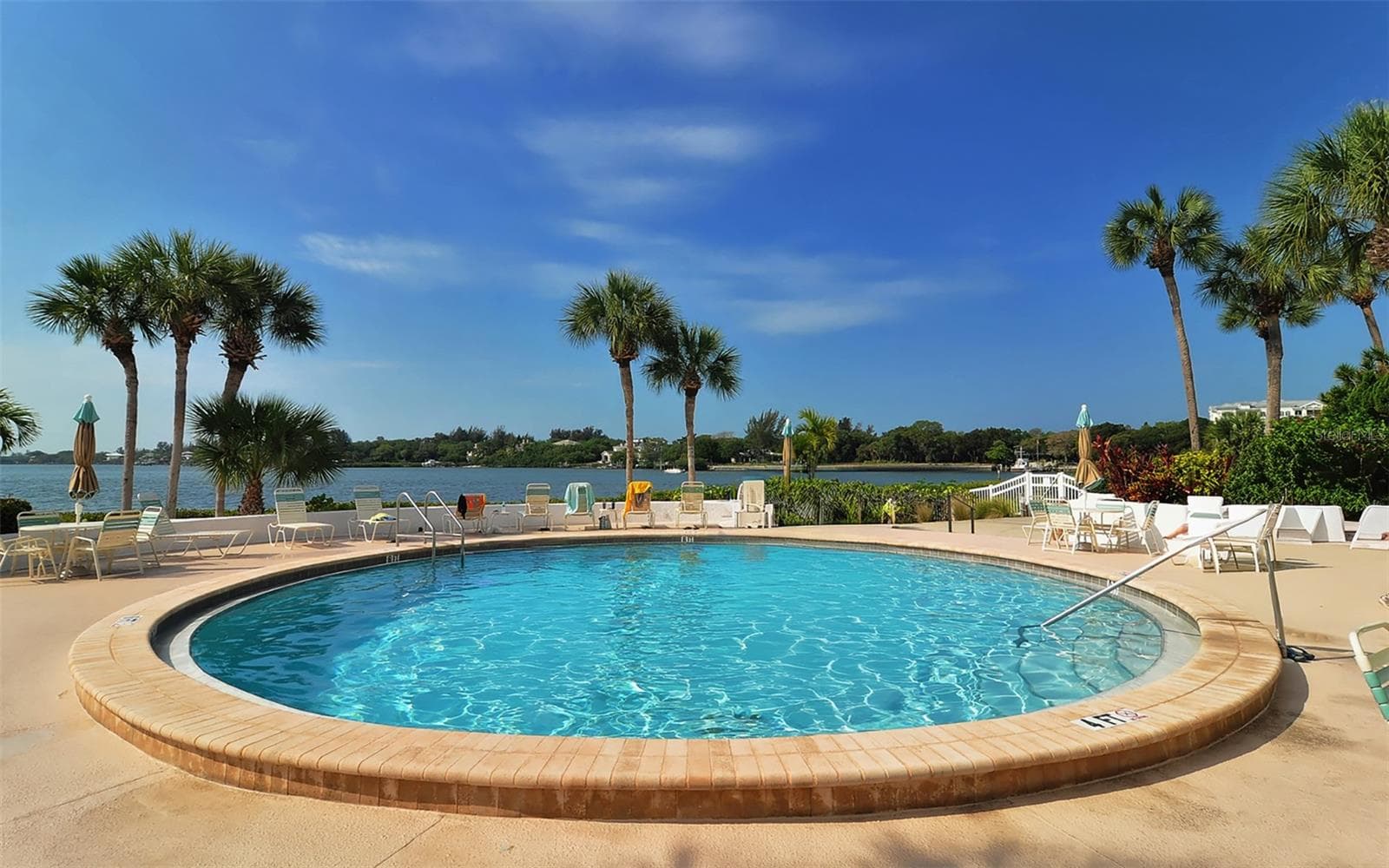 Community Pool #2. - 1646 STICKNEY POINT RD #101, SARASOTA