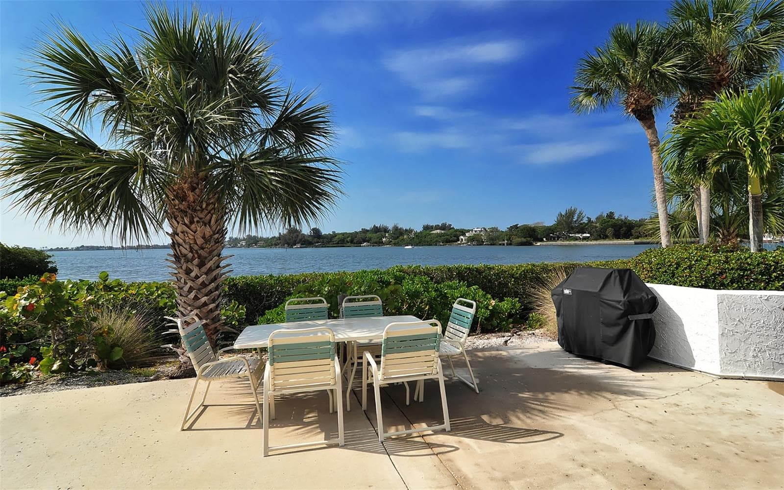 Grilling area on the Intercoastal. - 1646 STICKNEY POINT RD #101, SARASOTA