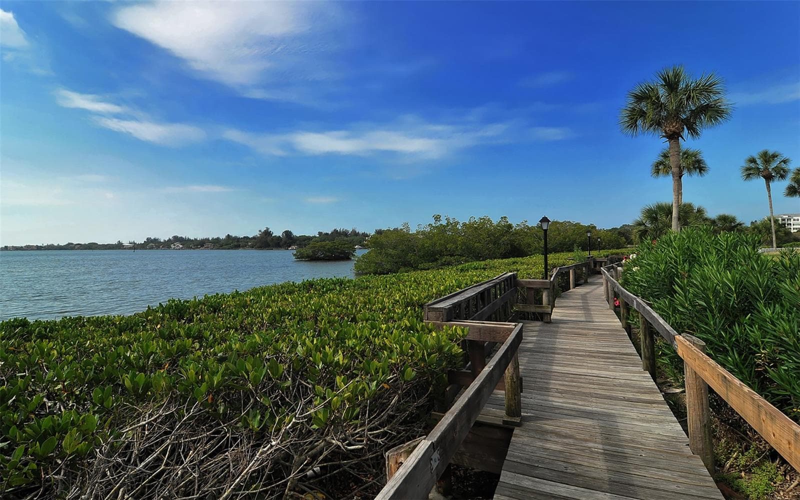 The walkway on the Intercoastal. - 1646 STICKNEY POINT RD #101, SARASOTA