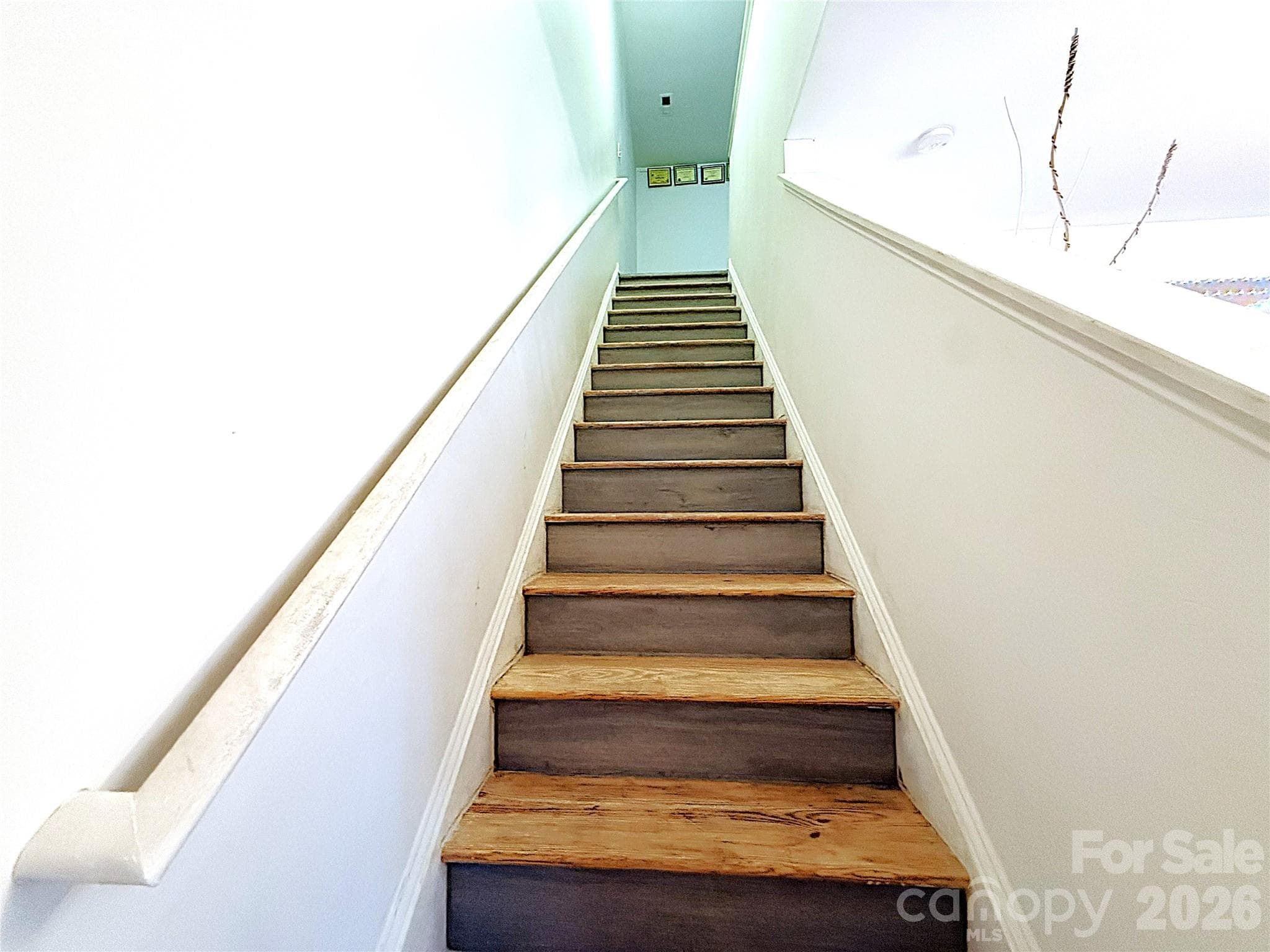 Single Family Residence at 8703 Earthenware Drive, Charlotte, photo 15 of 30