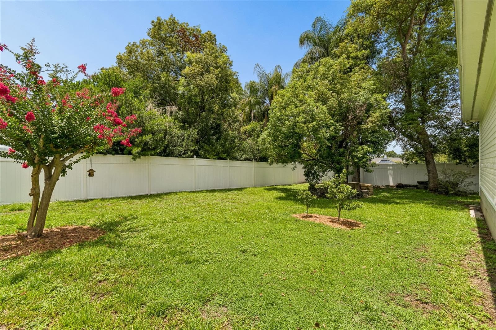 Single Family Residence at 703 N EVERS ST, PLANT CITY, photo 78 of 96