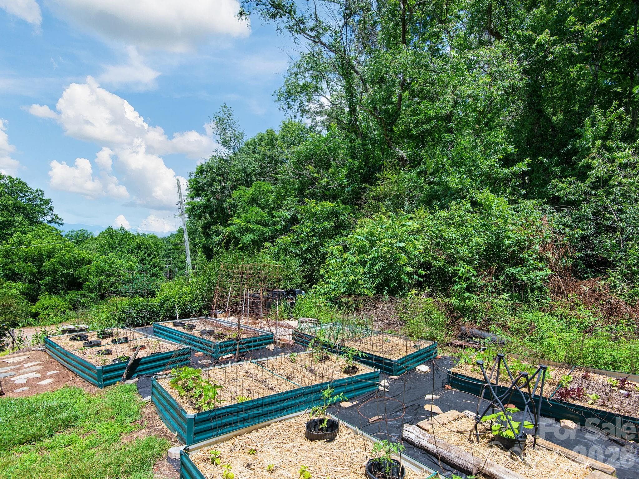 Established vegetable garden - 46 Perennial Ridge, Weaverville