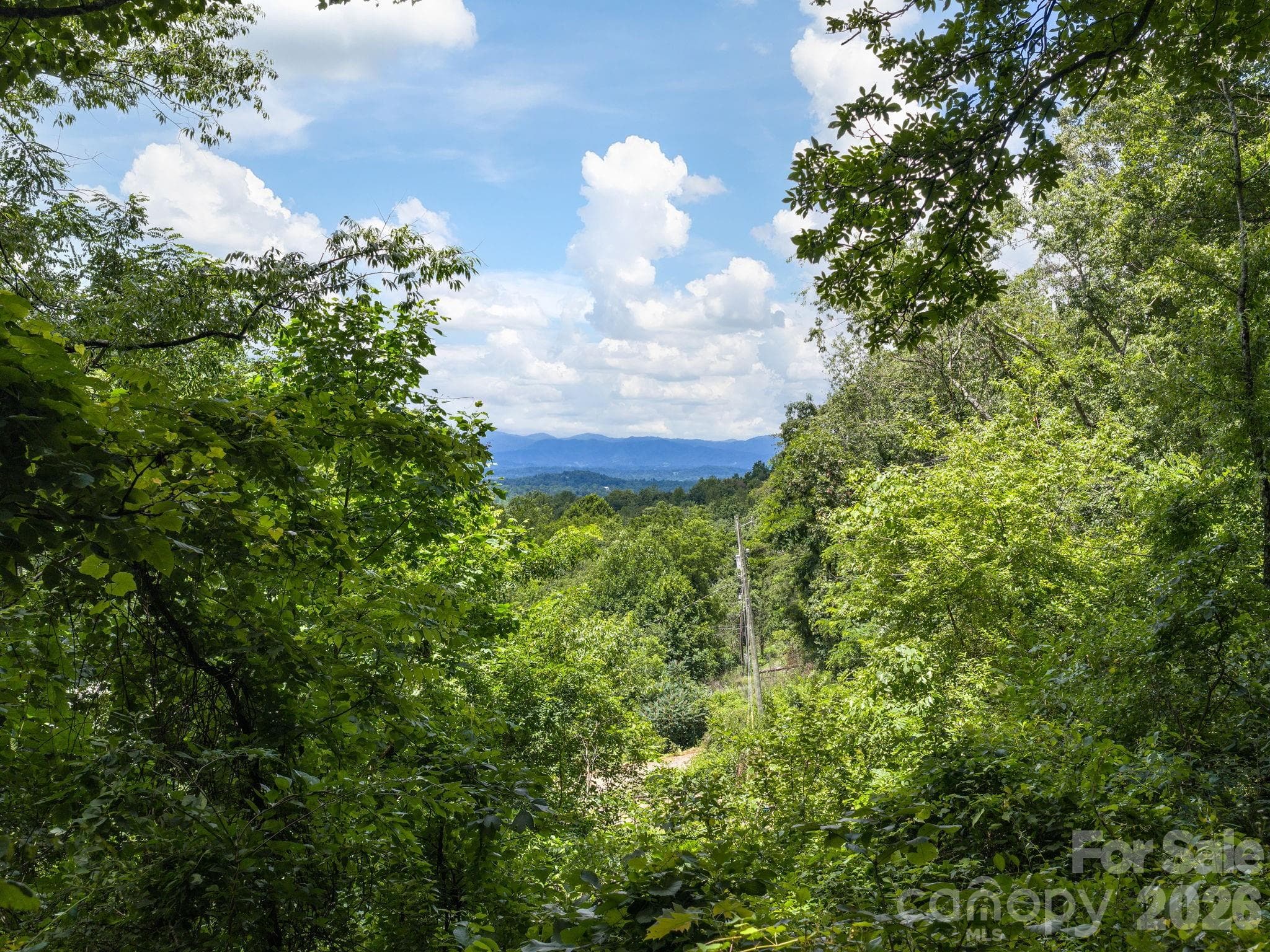 Single Family Residence at 46 Perennial Ridge, Weaverville, photo 34 of 45