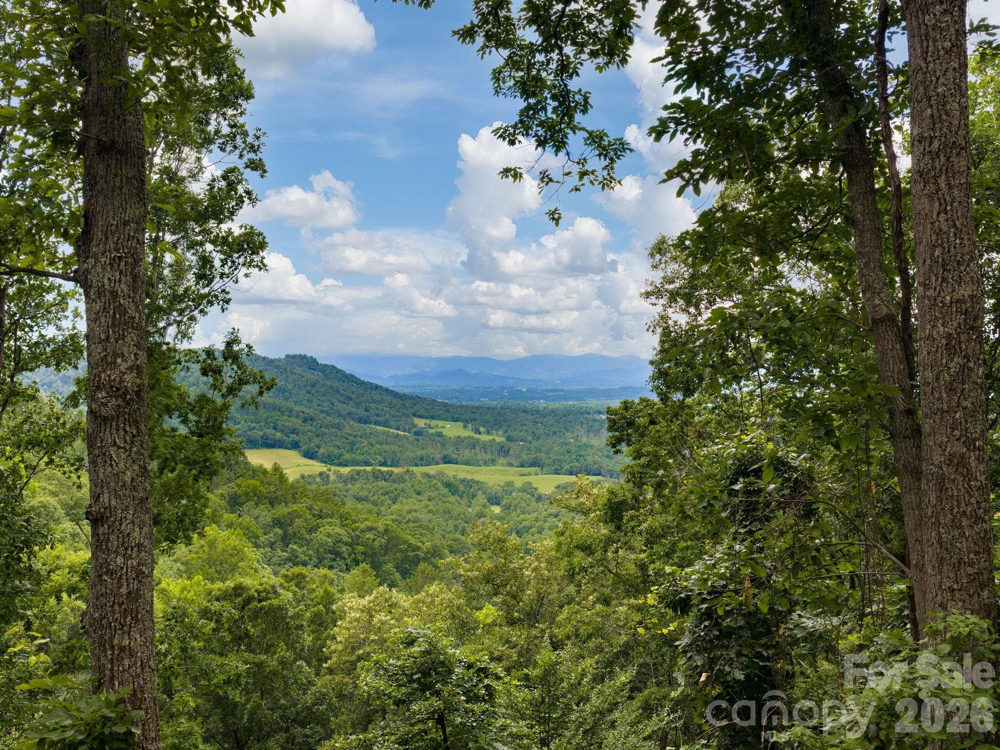 Single Family Residence at 46 Perennial Ridge, Weaverville, photo 37 of 45