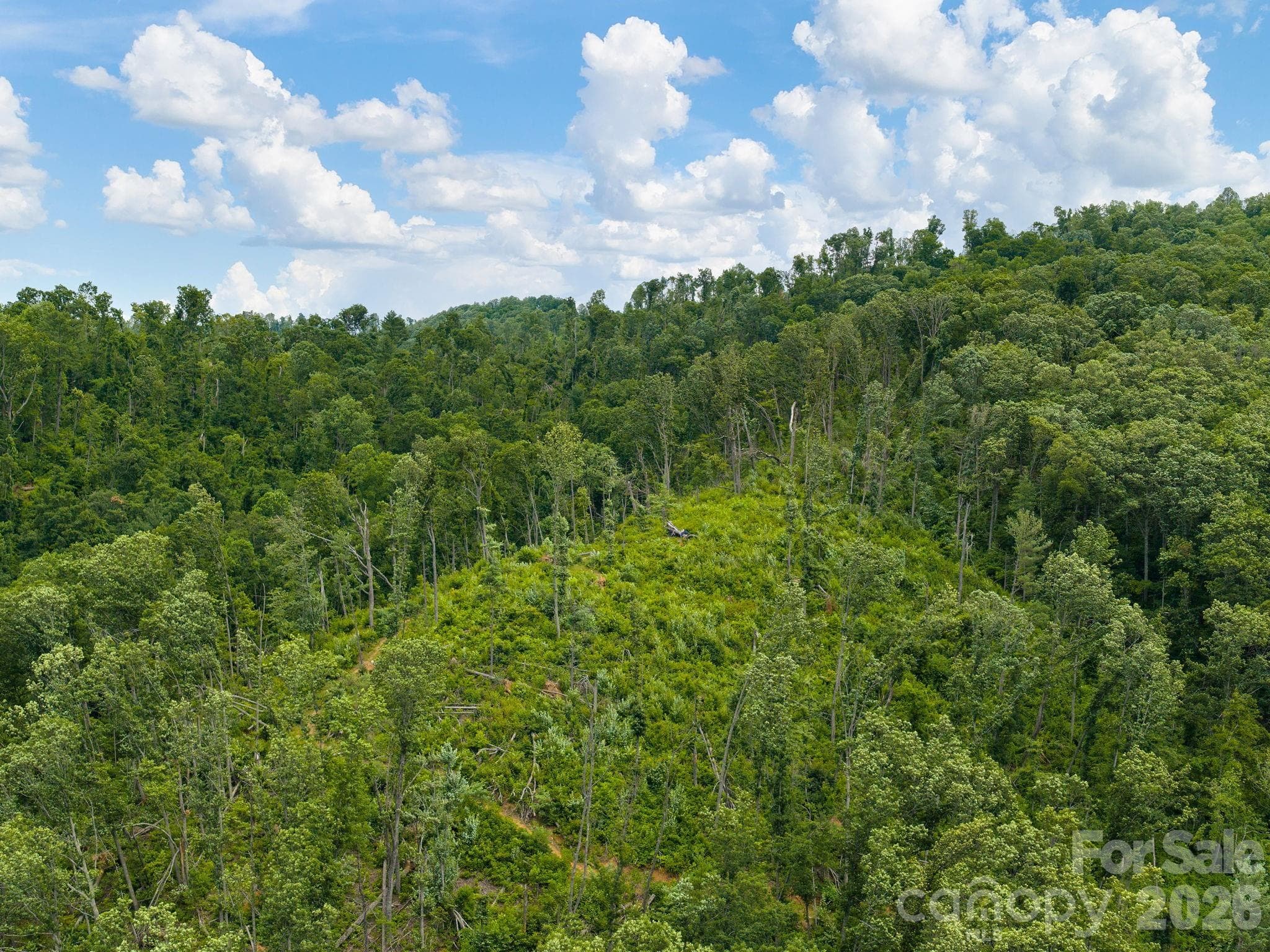 Single Family Residence at 46 Perennial Ridge, Weaverville, photo 39 of 45
