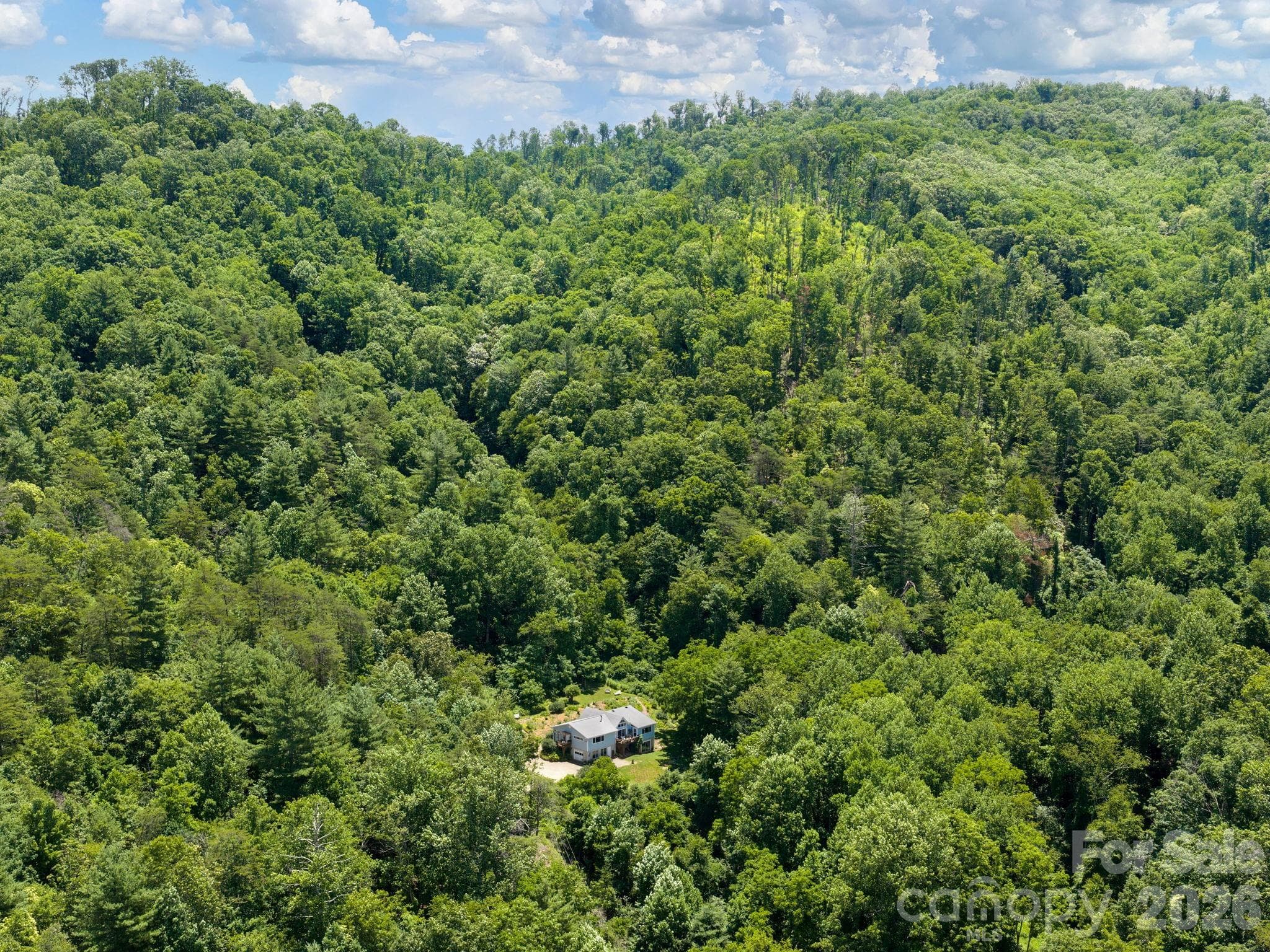 Single Family Residence at 46 Perennial Ridge, Weaverville, photo 40 of 45