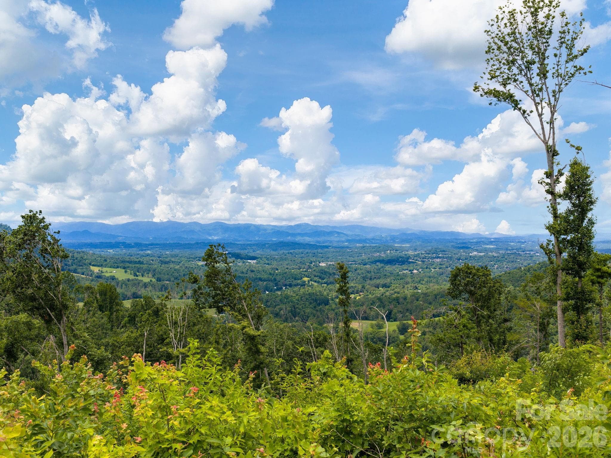 Single Family Residence at 46 Perennial Ridge, Weaverville, photo 41 of 45